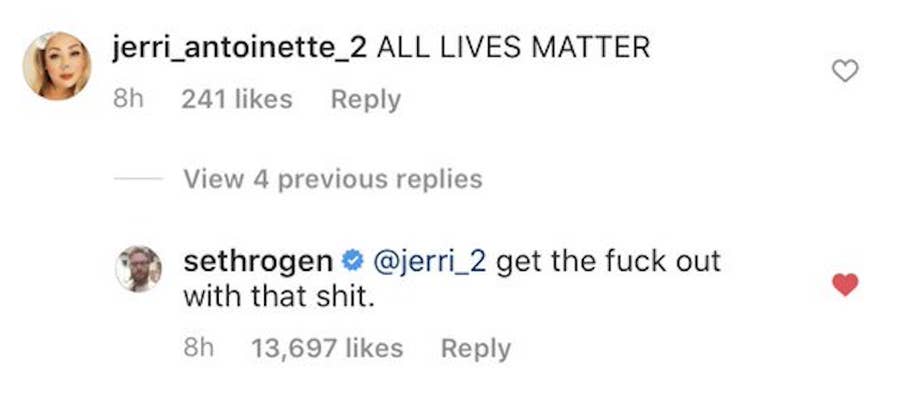 Seth Rogen Told Off Anyone Who Commented All Lives Matter On His