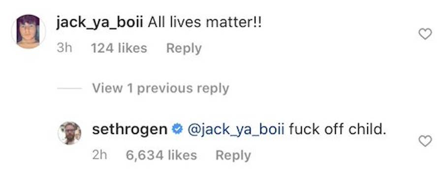 Seth Rogen Told Off Anyone Who Commented All Lives Matter On His