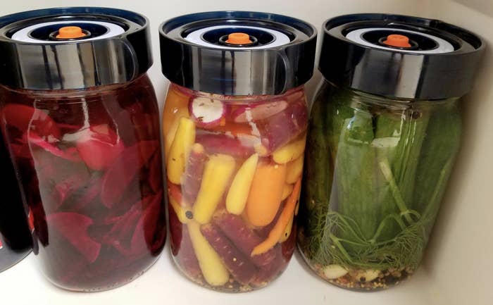 Three jars of fermenting beets, carrots, and cucumbers