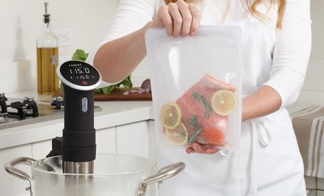 model holding clear silicone bag with salmon inside
