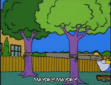 Homer simpson tangled in hammock saying mayday mayday