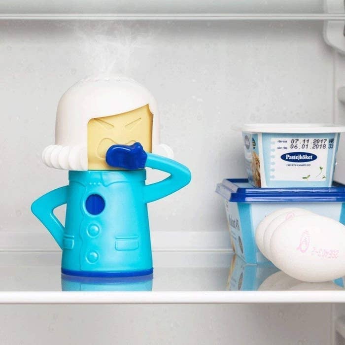 A fridge-deodorizing diva on the shelf of a fridge next to eggs and tubs