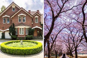 On the left, a beautiful brick mansion with styled hedges in the front, and on the right, bright cherry blossoms in the springtime