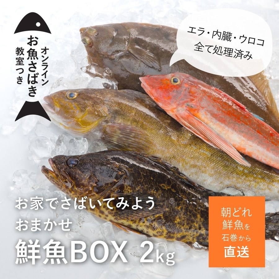 みーこさま専用 鮮魚BOX - 魚介