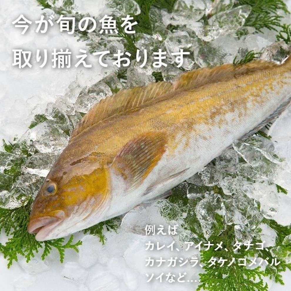 漁港から新鮮な魚がどっさり届く 鮮魚box がやばい 漁港から新鮮な魚がどっさり届く 鮮魚box がやばい