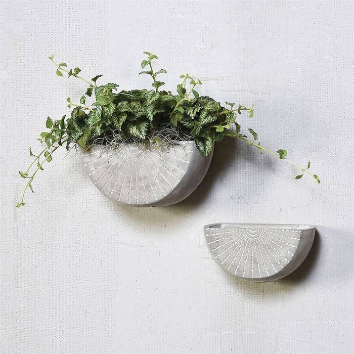 medium and small half circle cement planters on a wall