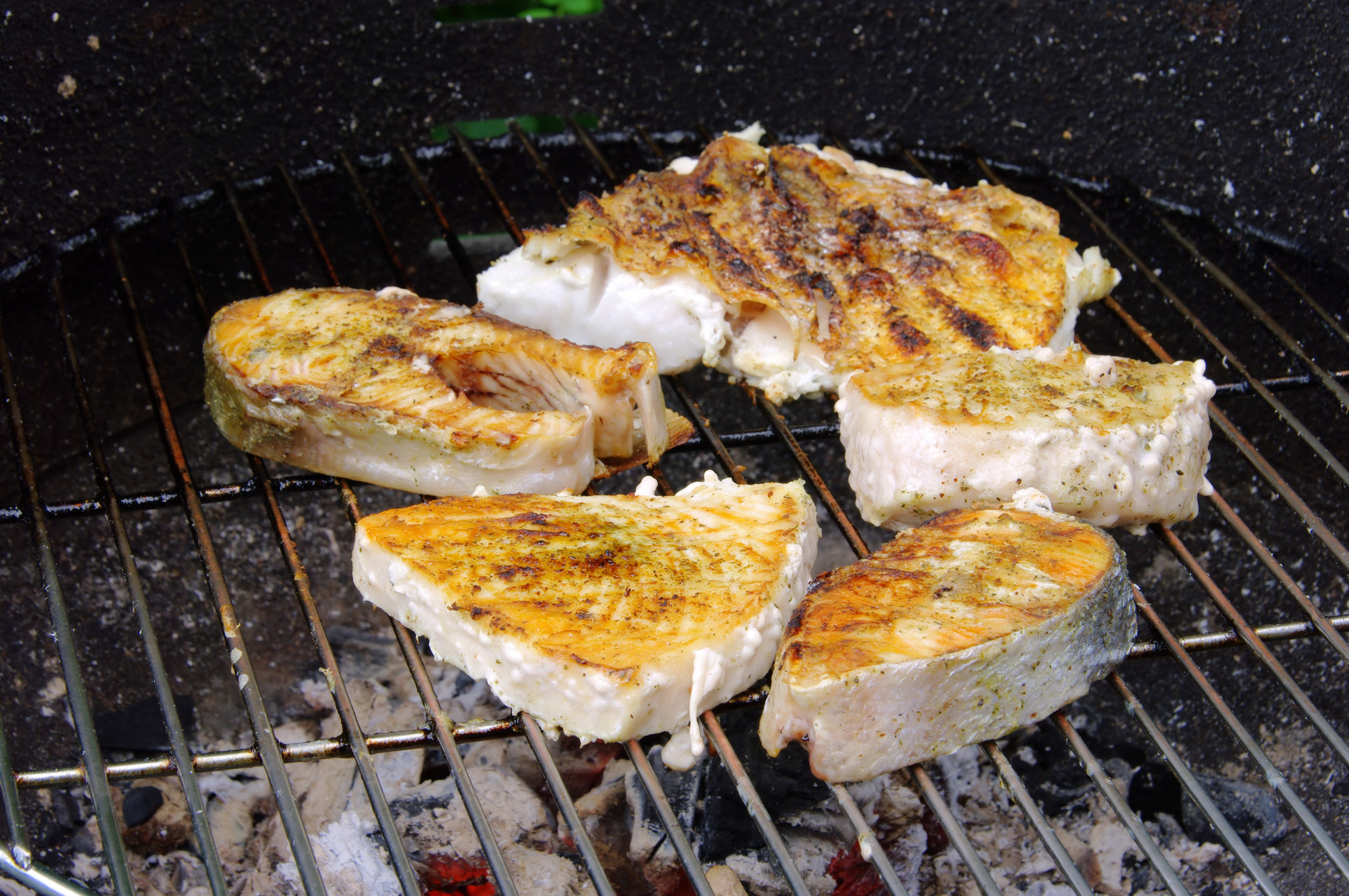 Salmon steaks cooking on a grill.