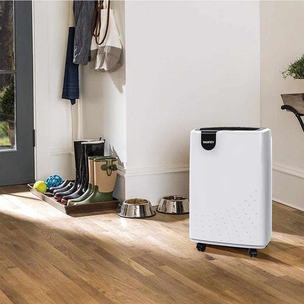 A white dehumidifier with black accents and four caster wheels