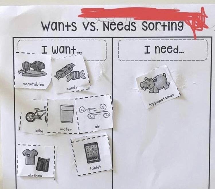 a chart for a school assignment for children that reads &quot;wants versus needs sorting,&quot; under the &quot;i want&quot; column are items like vegetables, candy, water, air, tablet, but under the &quot;i need&quot; column is one item: hippopotamus