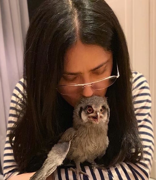 Salma Hayek And Her Owl Salma Hayek And Her Owl
