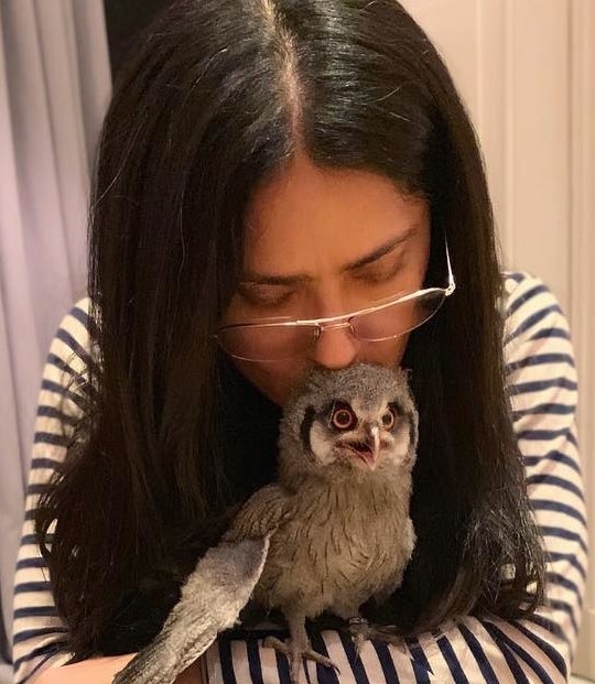 Salma Hayek And Her Owl