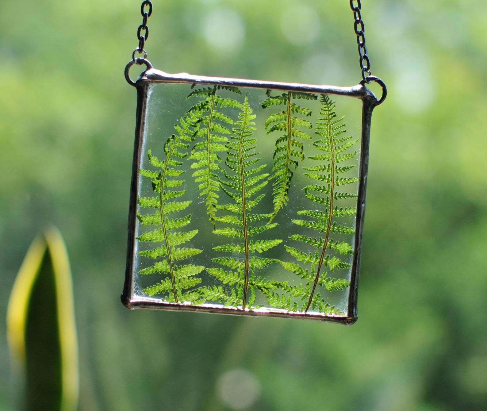 The hanging terrarium looks like a square piece of glass with a metal frame around it. There are three green fern leaves inside of it.