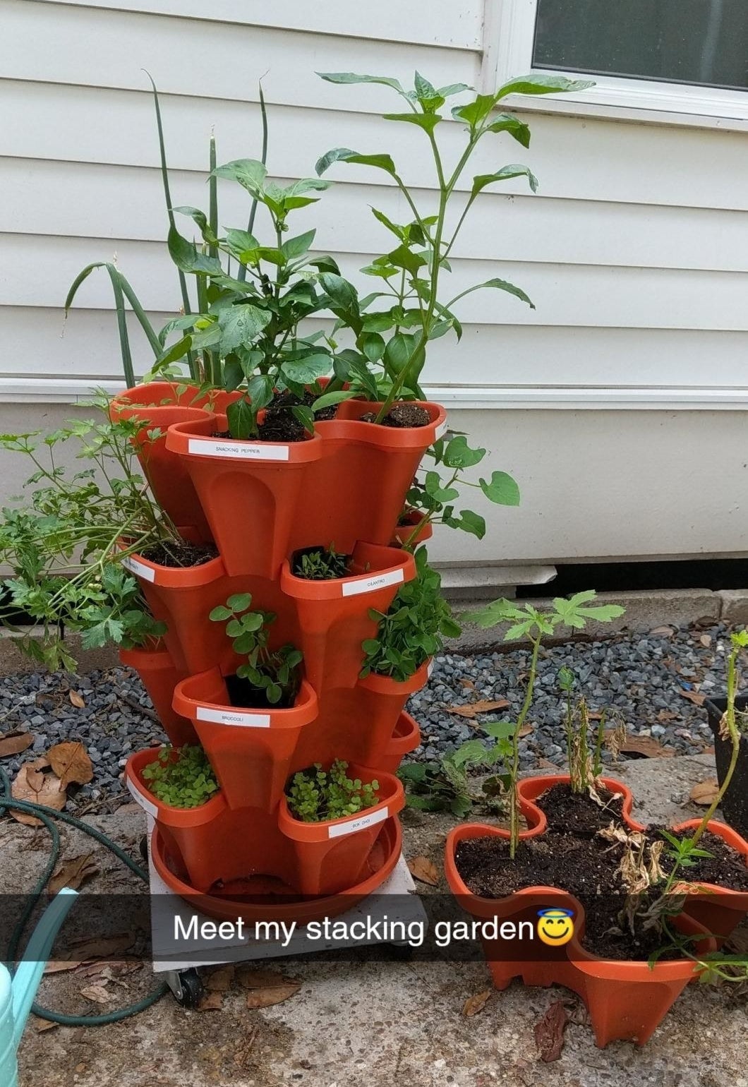 orange planter with thriving plants with snapchat caption &quot;meet my stacking garden&quot; and a smiley face emoji