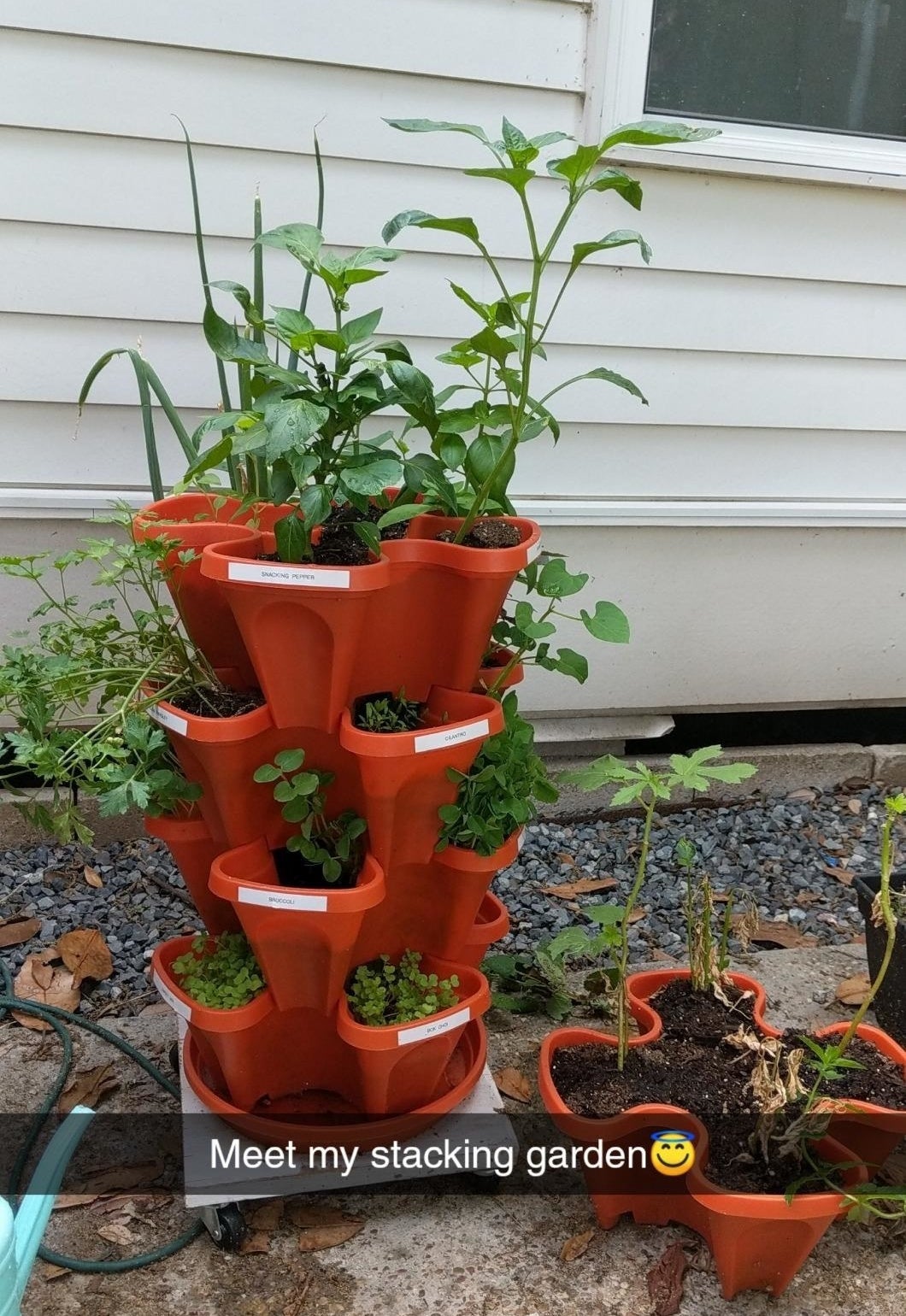 orange planter with thriving plants with snapchat caption &quot;meet my stacking garden&quot; and a smiley face emoji