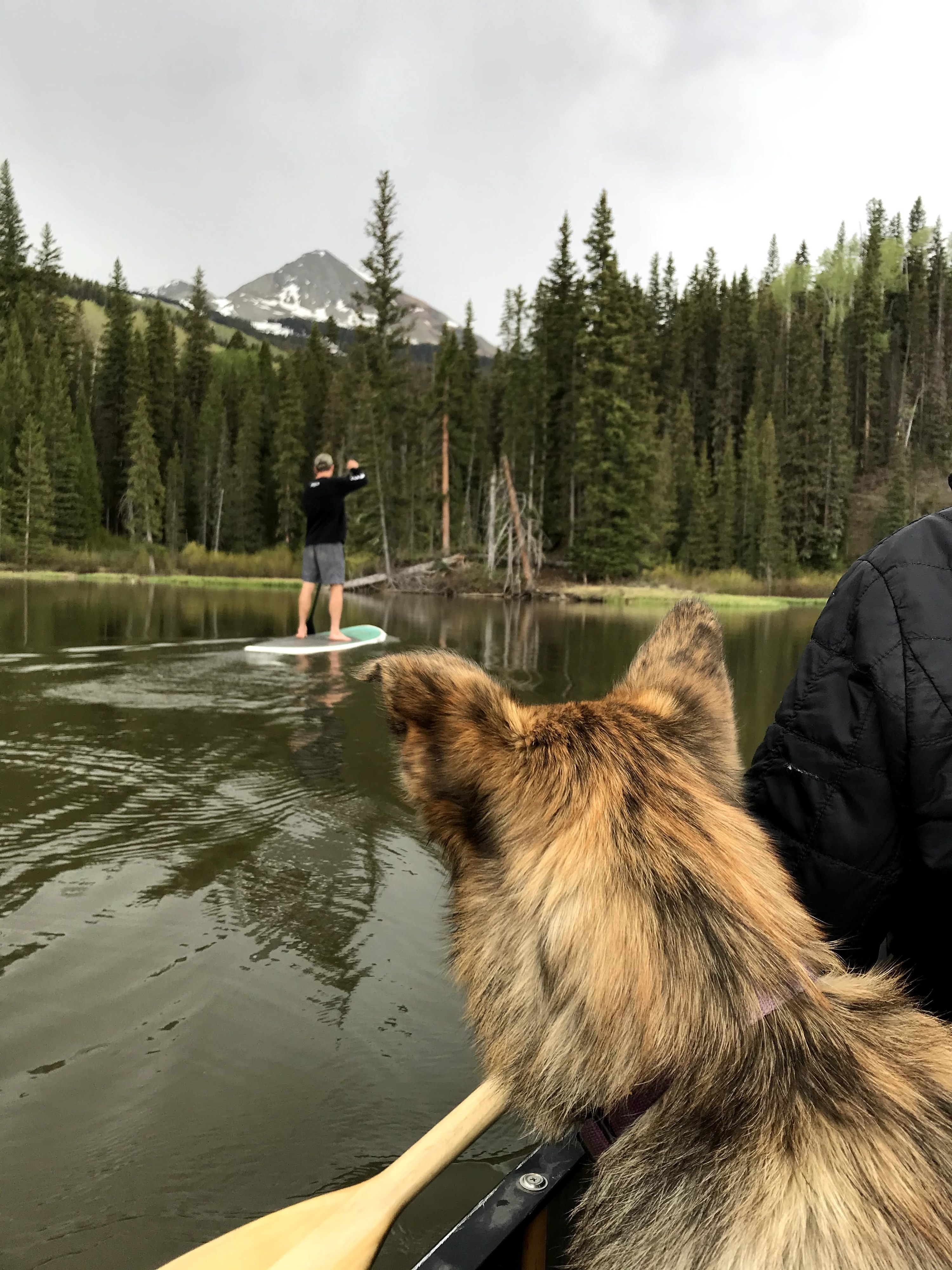 Man on a lake rowing a stand up paddle board