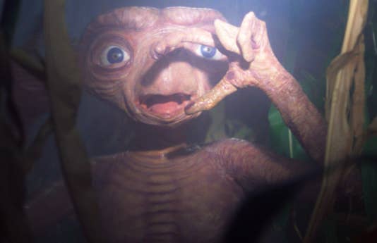 E.T. looking absolutely horrified by a bright flashlight.