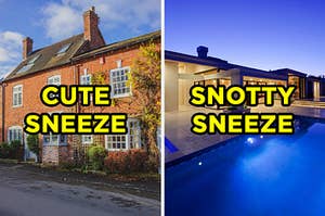 On the left, a sweet brick cottage in the countryside with "cute sneeze" typed on top of it, and on the left, a large, modern mansion with a swimming pool and "snotty sneeze" typed on top of it