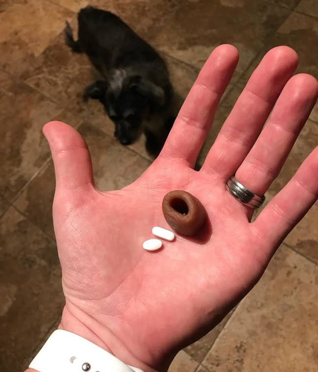 Reviewer hand holding the pill pocket treat and two pills 