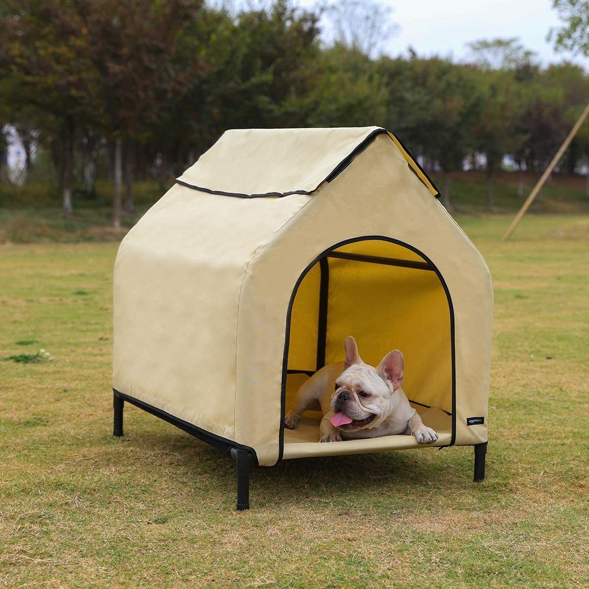 A lifestyle shot of the triangular, elevated dog bed with canvas covering and a French bulldog chilling out inside 