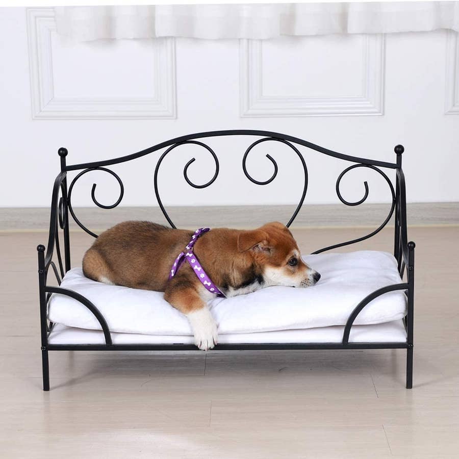 Best Dog Beds You Can Get On, Dog Bed Bed Frame