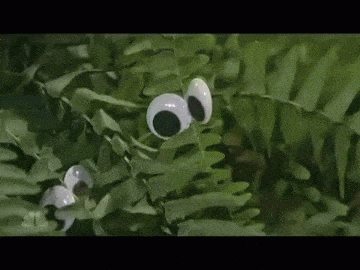 A gif of Christopher Walken with lots of plants, all with googly eyes in an SNL skit
