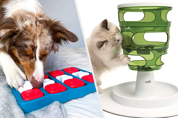 to the left: a dog playing with a square-shaped puzzle, to the right: a cat learning how to get treats out of a tower