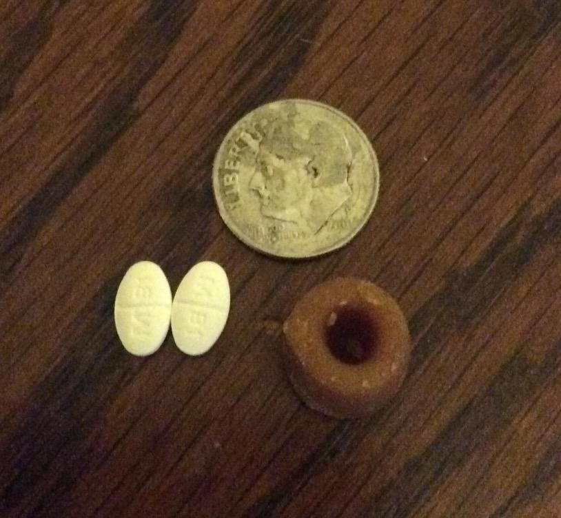 Reviewer photo of the pill pocket, which is smaller than a dime but moldable so it can fit larger pills in it