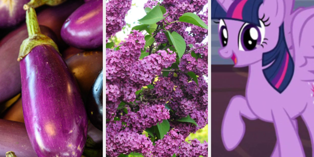 Can You Name All Of These Random Purple Things?