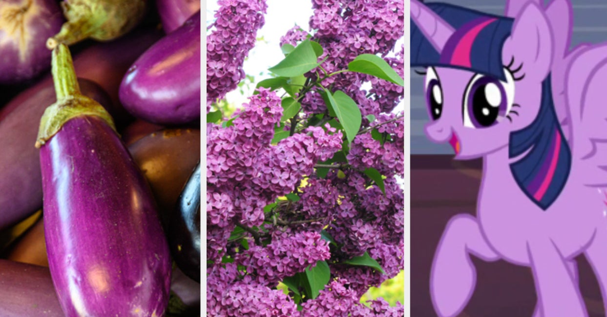 What Jobs Can I Do From Home In India? Can You Name All Of These Random Purple Things?