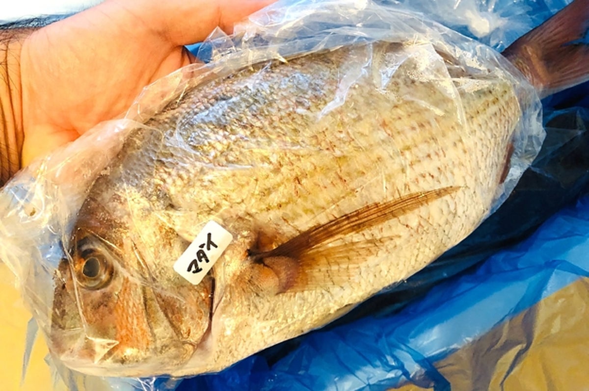 漁港から新鮮な魚がどっさり届く 鮮魚box がやばい