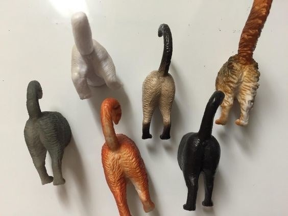 Reviewer's picture of the cat butt magnets