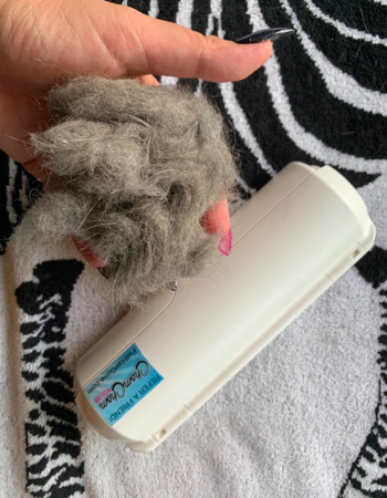 A reviewer holding a clump of dog fur after using the roller