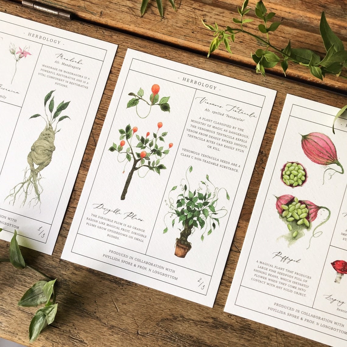 The three-piece Harry Potter Herbology Chart print set.