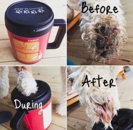 A before-during-and-after photo collage showing a dog&#x27;s dirty paw being dipped into the plunger and looking clean after