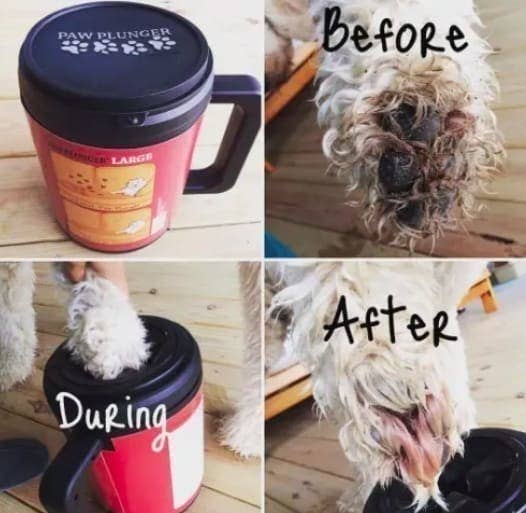 A before-during-and-after photo collage showing a dog's dirty paw being dipped into the plunger and looking clean after