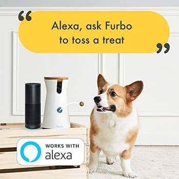 Infographic explaining that the Furbo works with Alexa