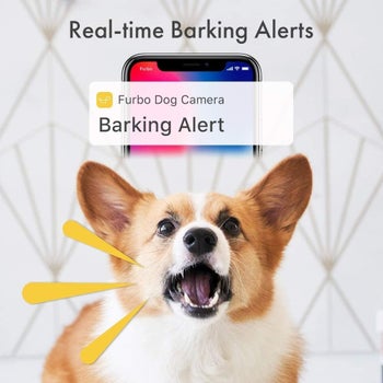 Infographic explaining Furbo's real-time barking alerts