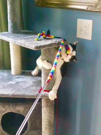 Reviewer photo of their cat in a cat tree playing with the ribbon