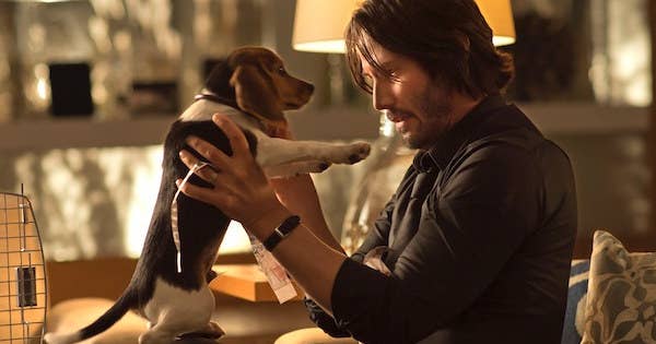 The Best Behind The Scenes Facts From Action Movies