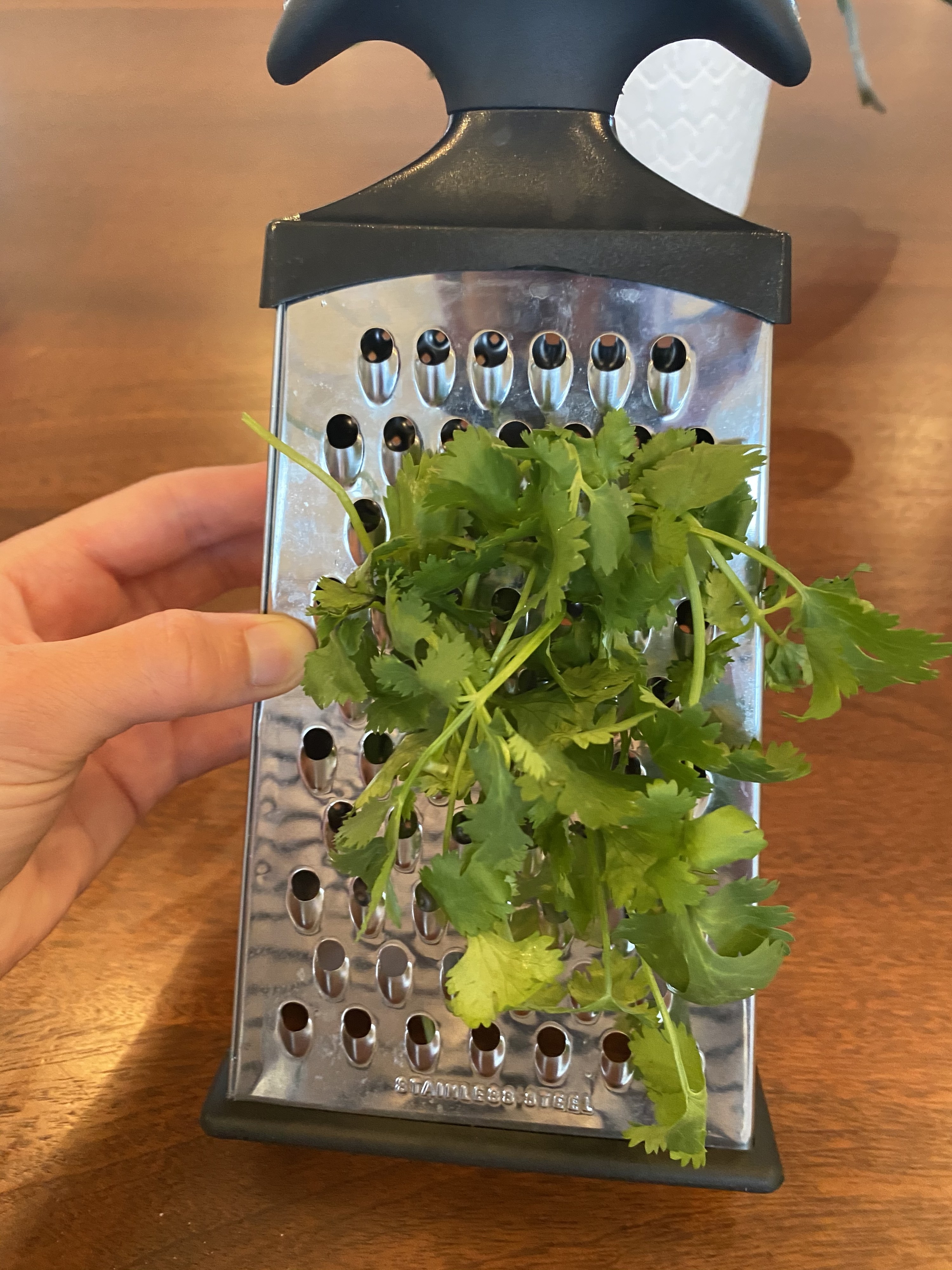 A handful of cilantro with its stems thread through a box grater.