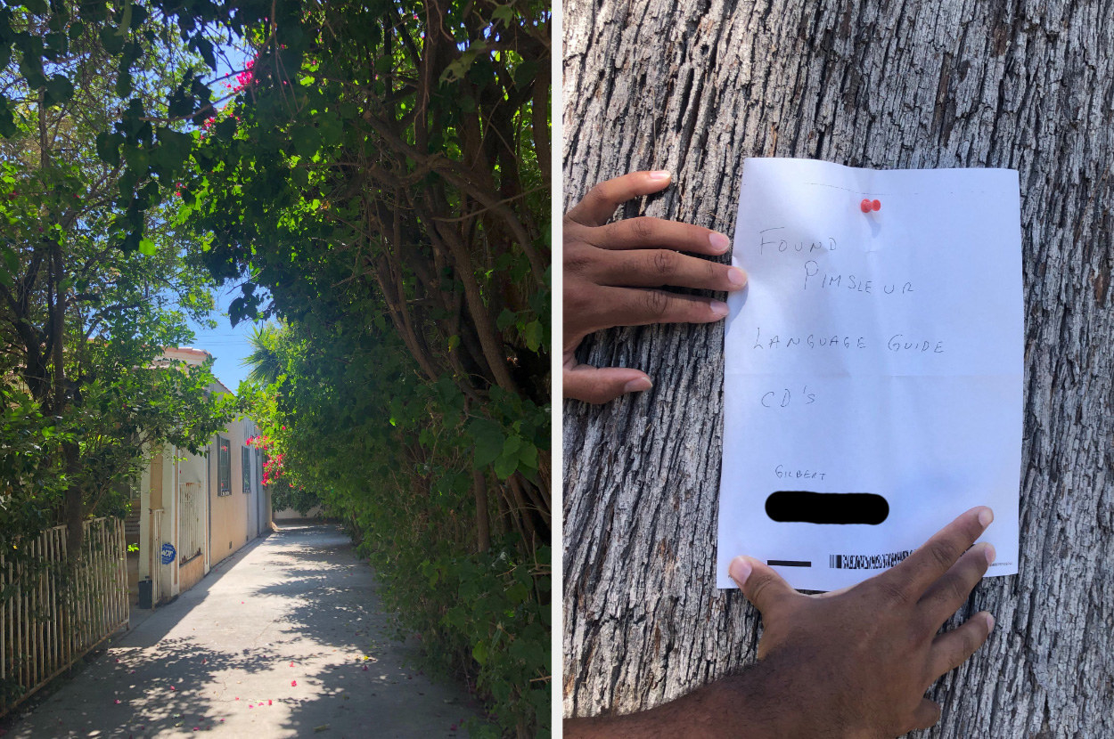 A split screen: Alleyway with lots of greenery on the left and a piece of paper pinned to a tree that says &quot;Found pimsleur language guide CD&#x27;s&quot; on the right.