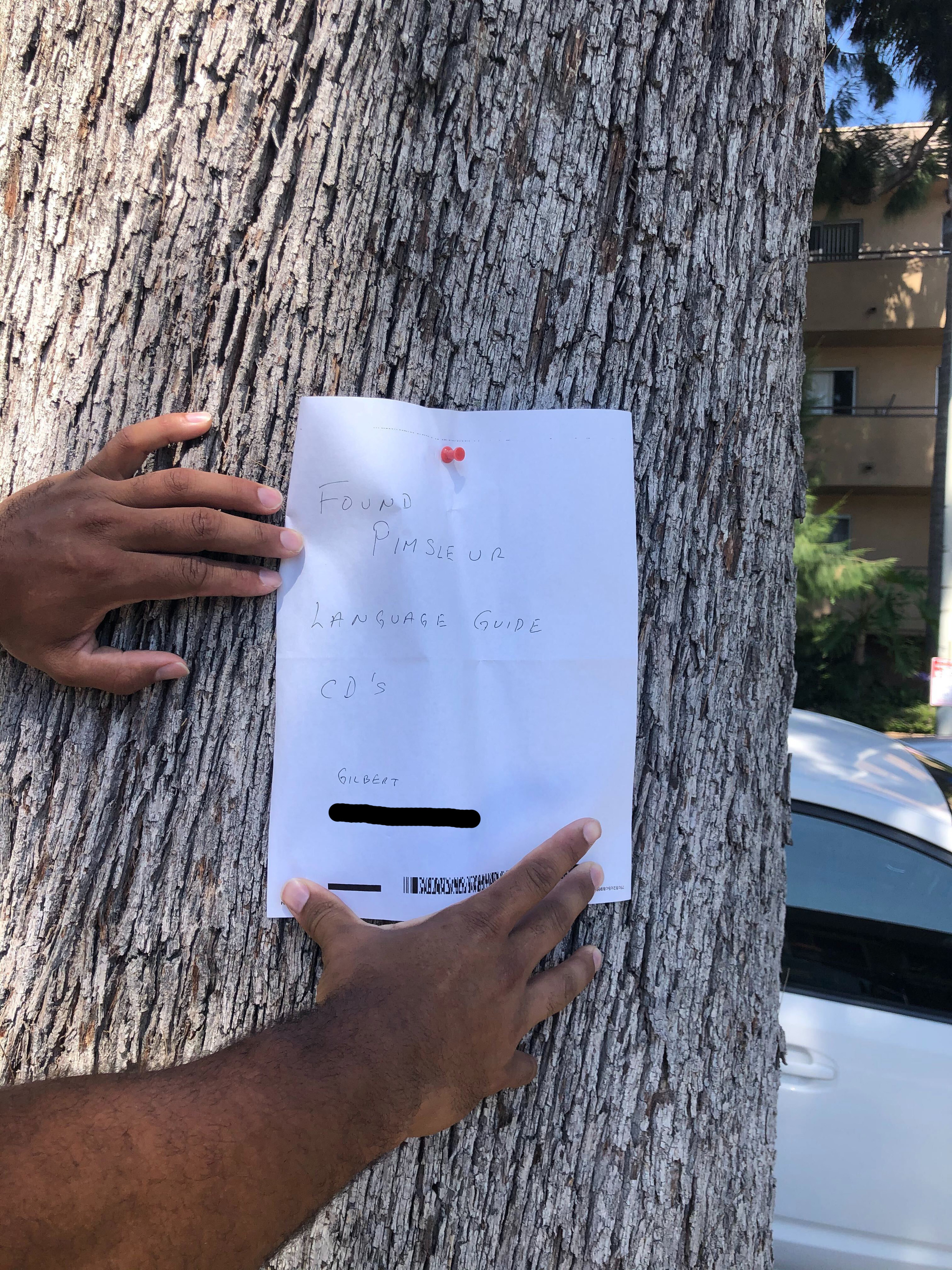 A piece of paper pinned to a tree that says &quot;Found pimsleur language guide CD&#x27;s.&quot; 