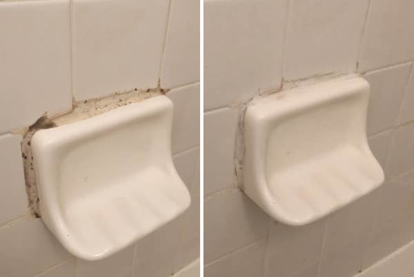 On the left, a photo of mold on a shower well, and on the right, the same shower wall with the mold cleaned away