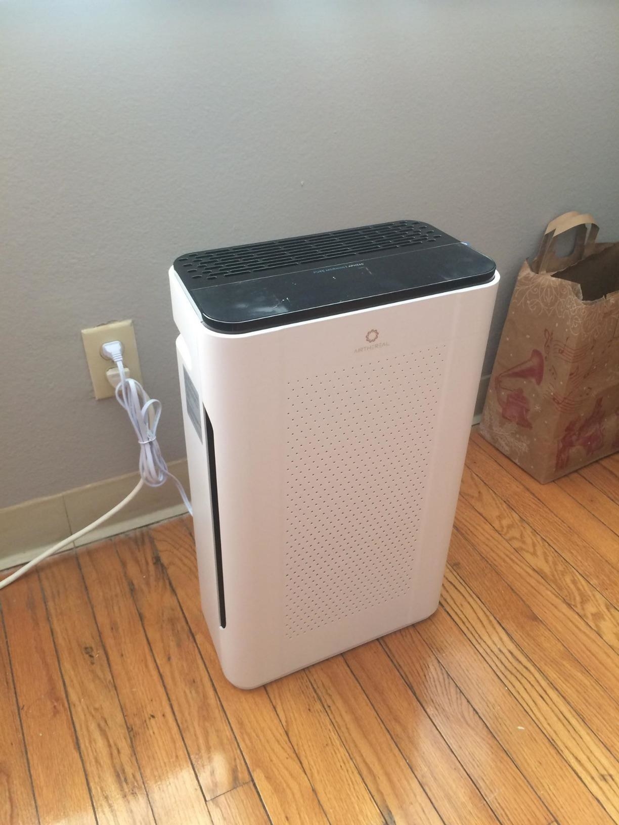 best air purifier for pet dander and dust