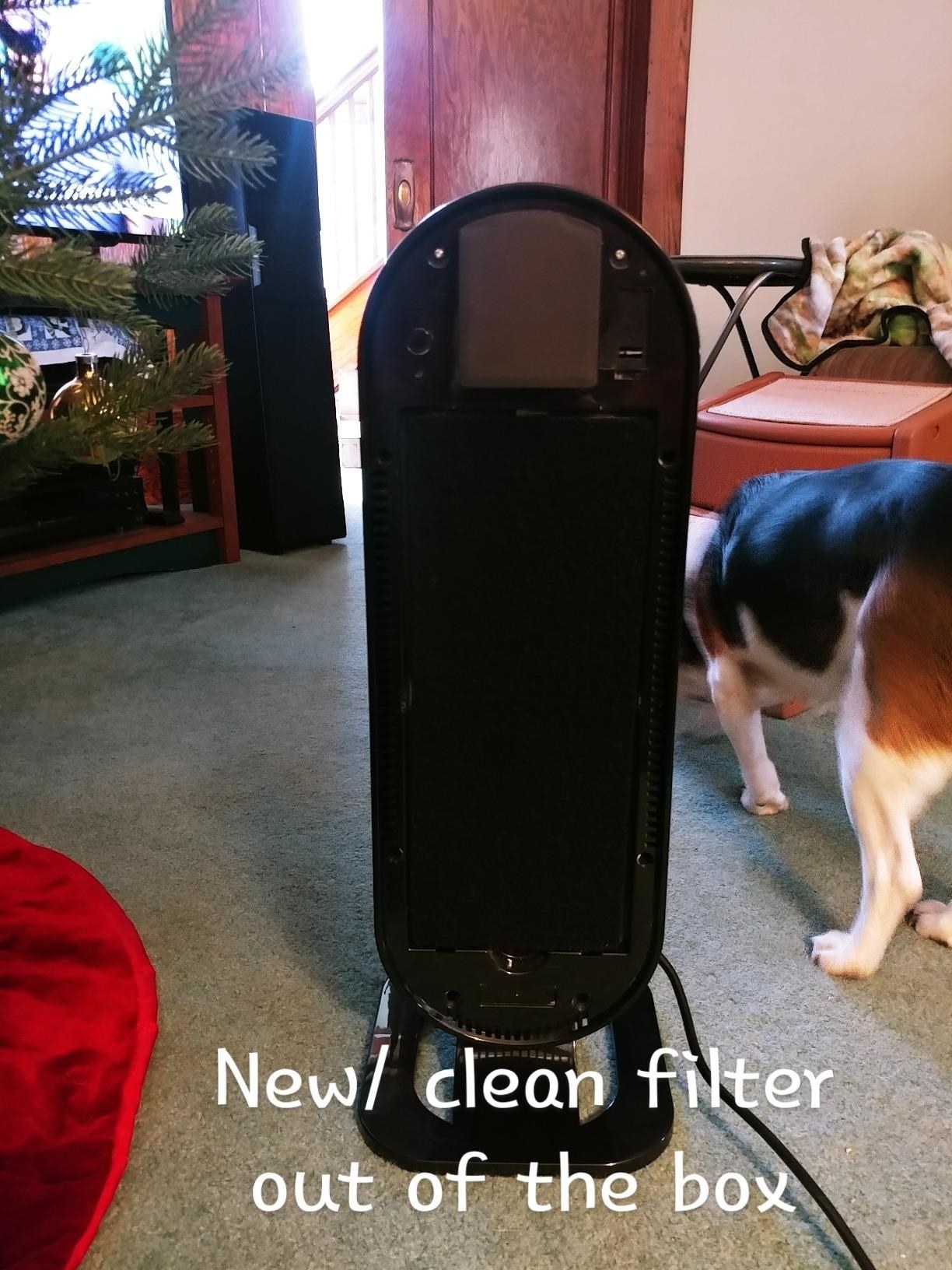 air purifier for dog dander
