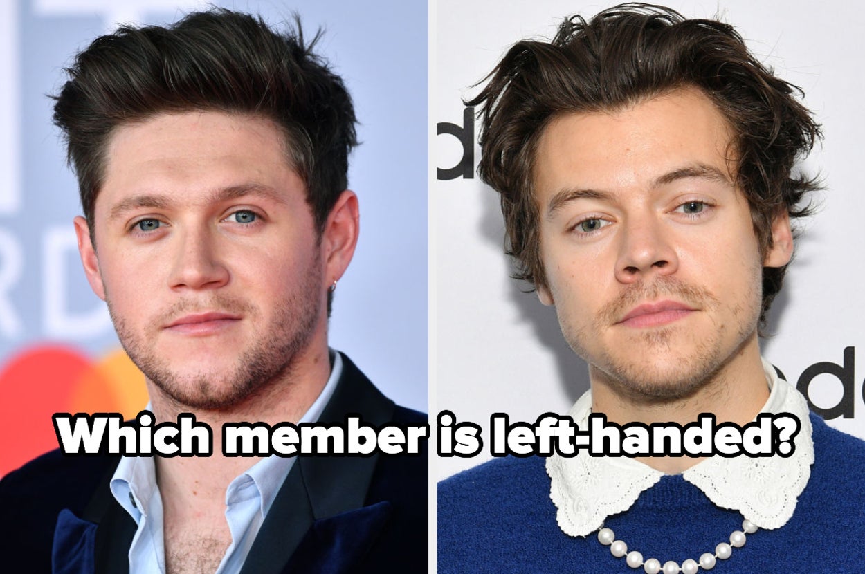 Quiz: How Well Do You Remember One Direction?