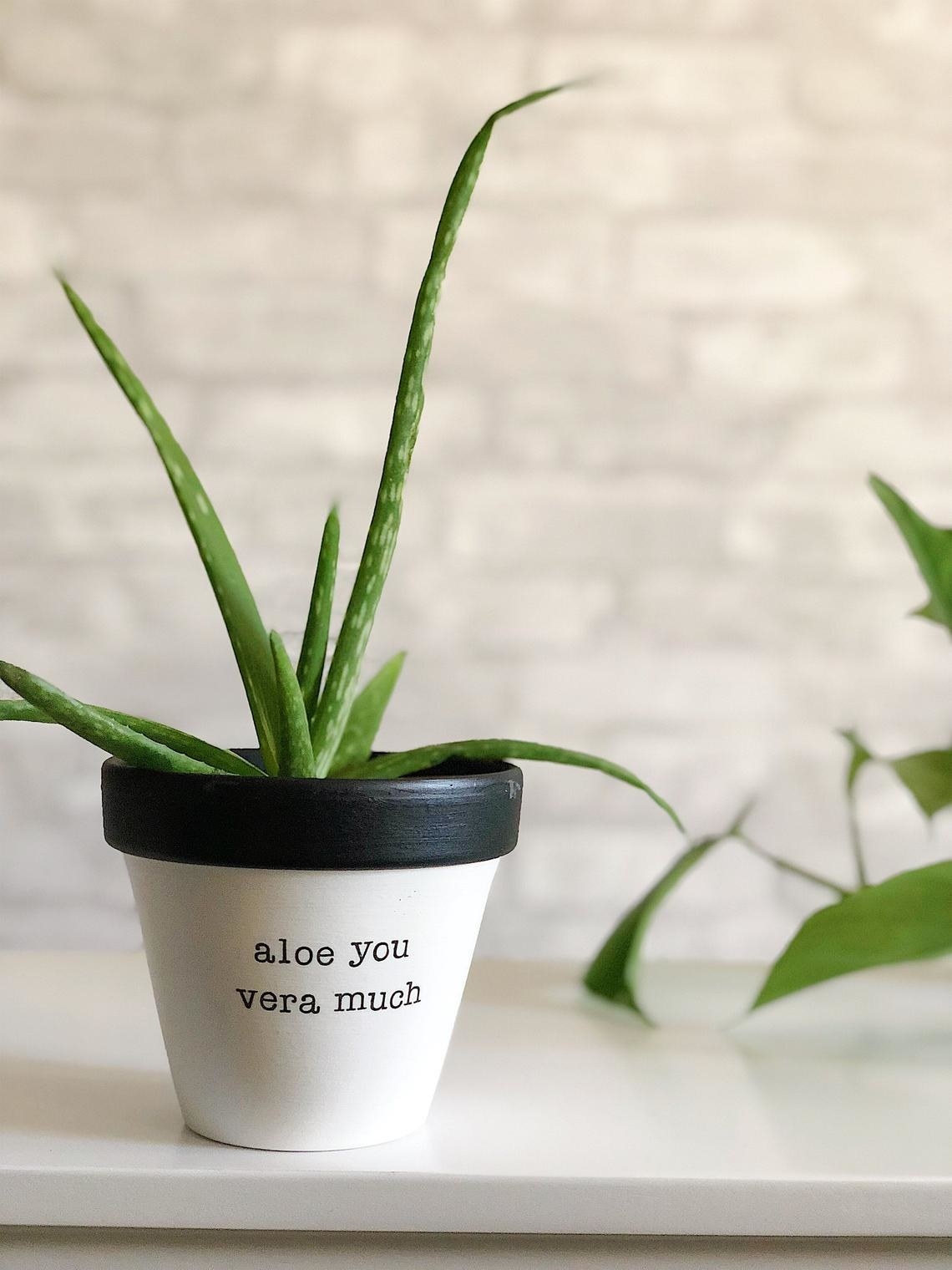 The &quot;Aloe You Vera Much&quot; planter in black and white. 