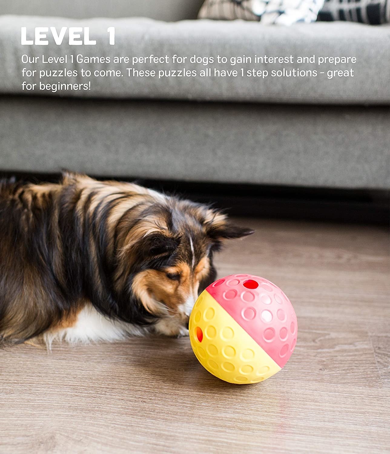 27 Helpful Products For Pets With Too Much Energy