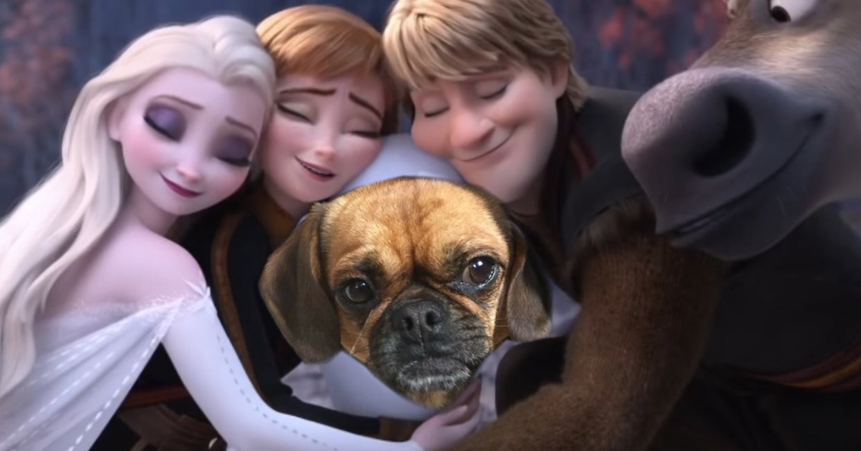 Quiz Which "Frozen 2" Character Are You Based On Dog Pictures?