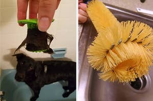 Hand holding plastic Tubshroom full of dog hair, plus a hand holding a weird-looking scrubbing brush
